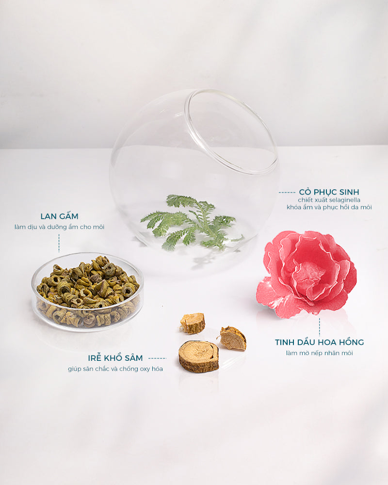 Mặt Nạ Dưỡng Môi Hoa Nhuận Sâm 6g - Bao Bì Mới