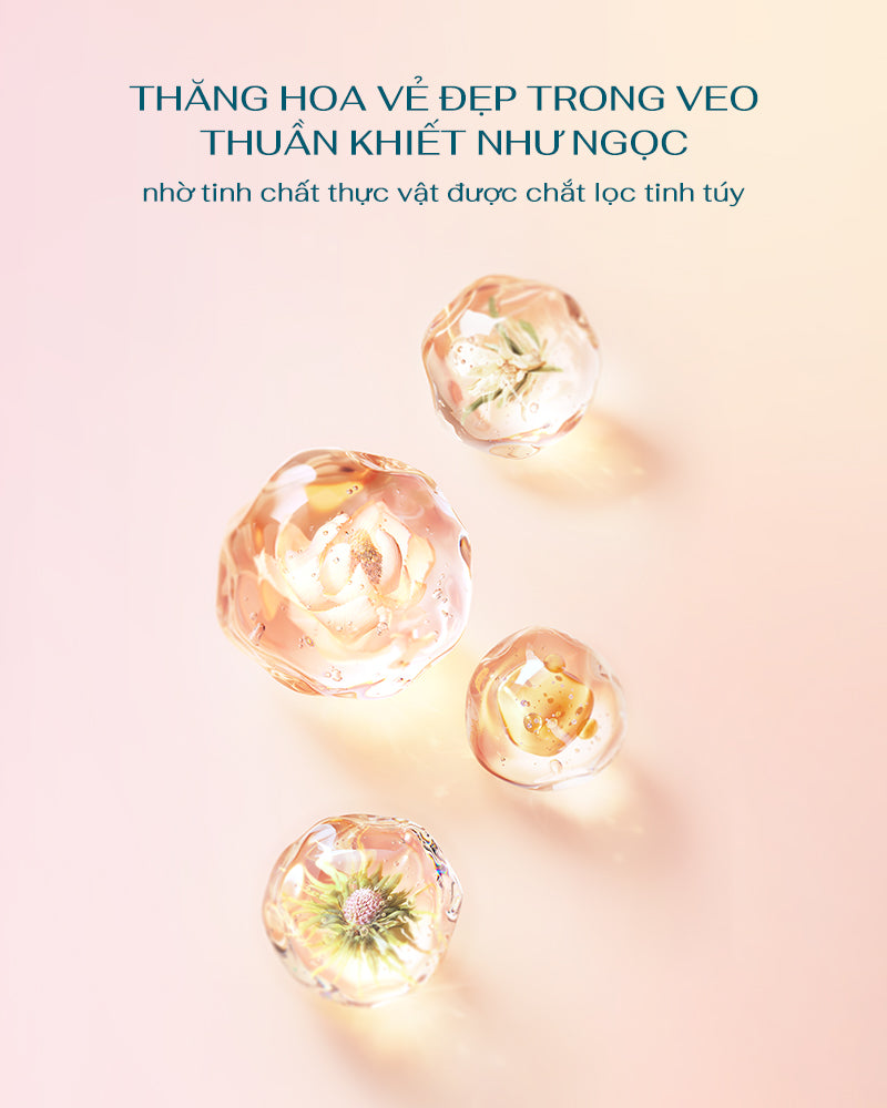 Phấn Nước Cân Bằng Chiết Xuất Hoa Sen Ngọc Dung