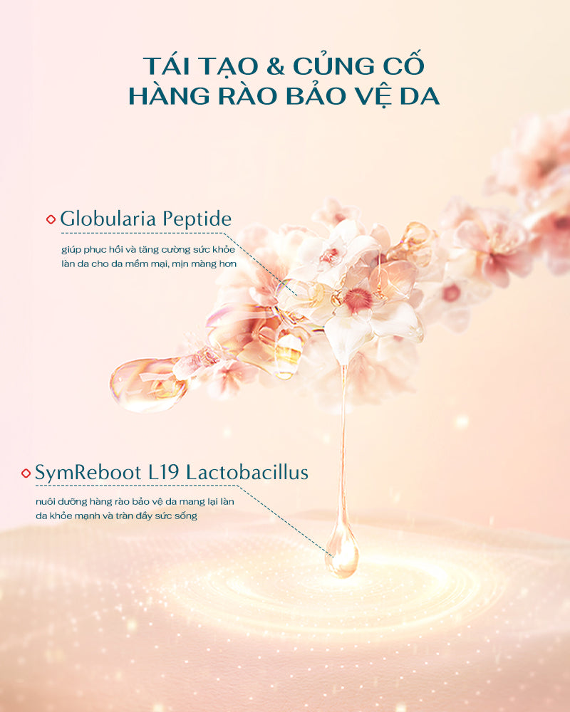 Phấn Nước Cân Bằng Chiết Xuất Hoa Sen Ngọc Dung