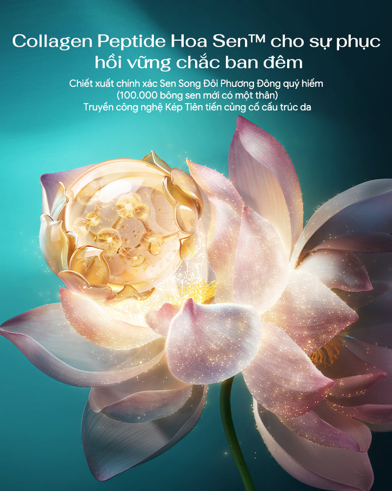 Kem Dưỡng Sắc Khí Chiết Xuất Hoa Sen-Kem đêm