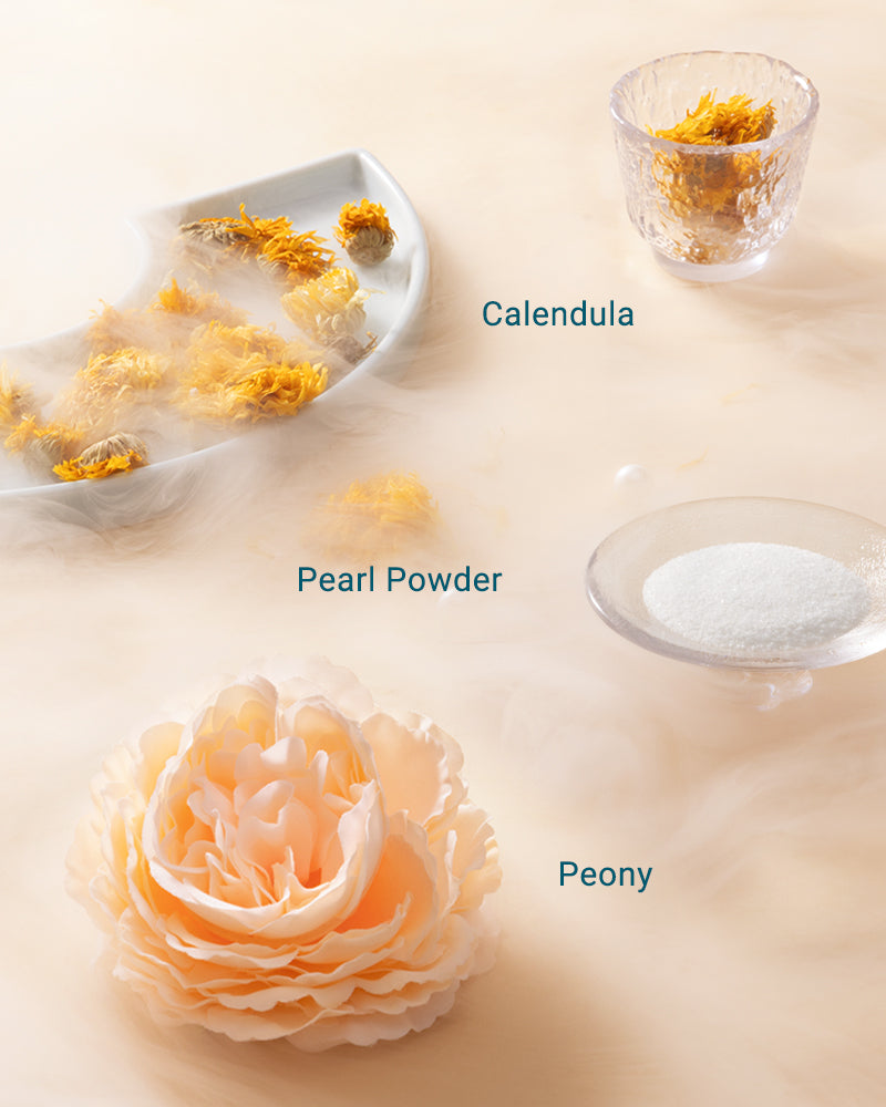 Phấn Má & Highlight Bách Điểu Triều Phụng